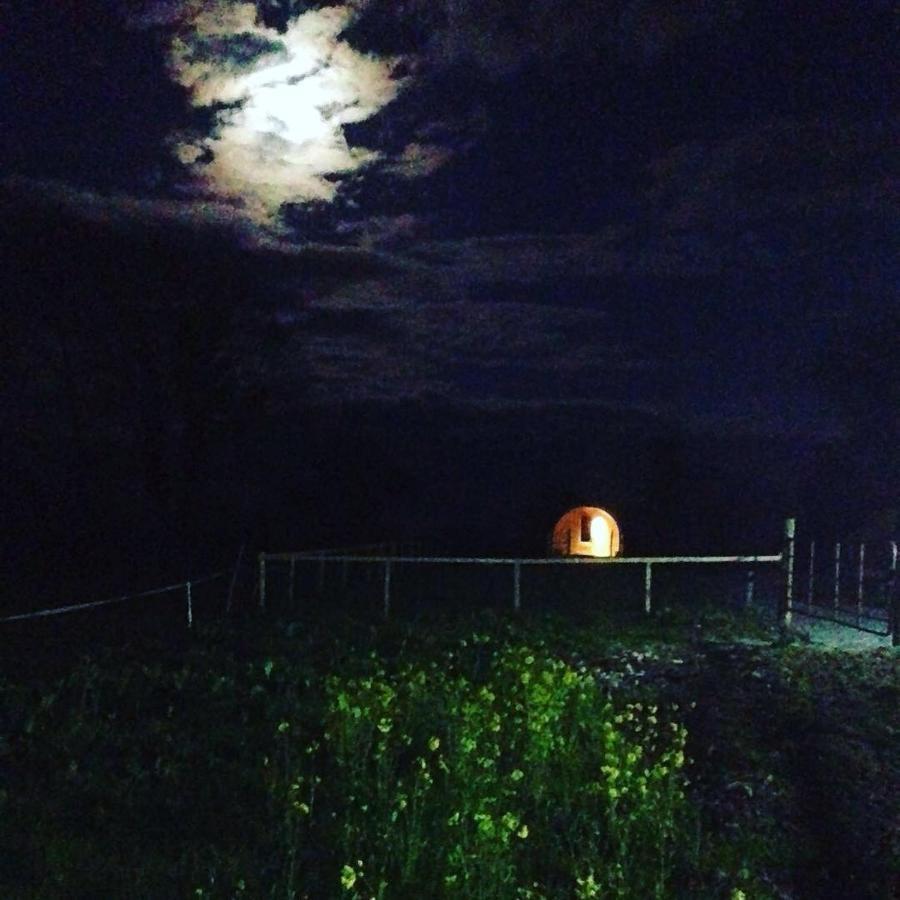 Carrigeen Glamping Kilkenny Exteriör bild